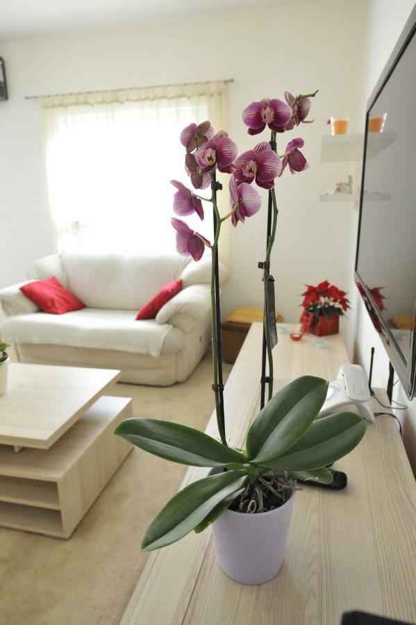 Vlatka Apartman Сплит Екстериор снимка